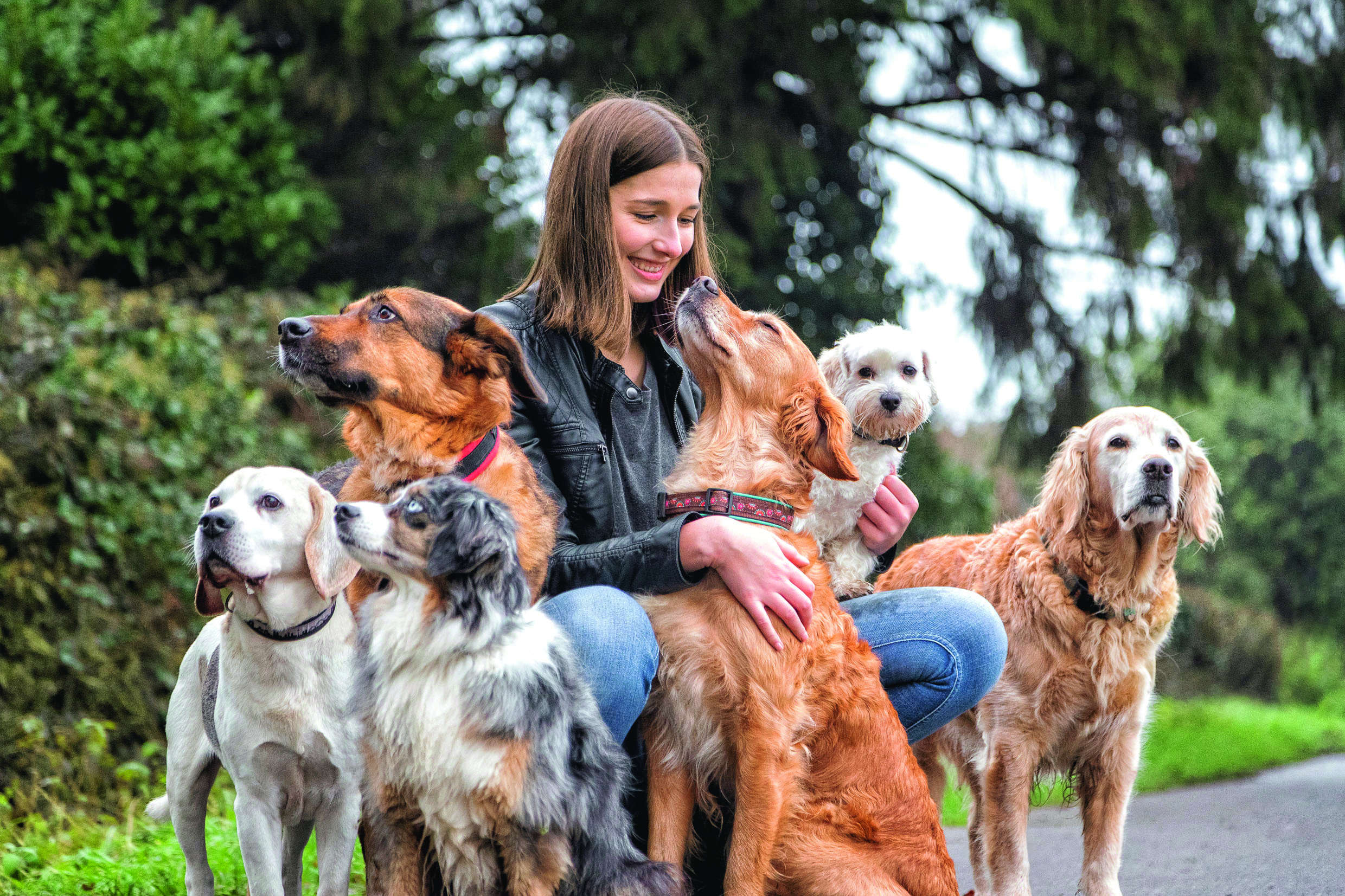 Haustier-Studie 2026: Nähe, Begrüßung, Trost – in diesen Momenten ist die Bindung zu Hund und Katze besonders groß