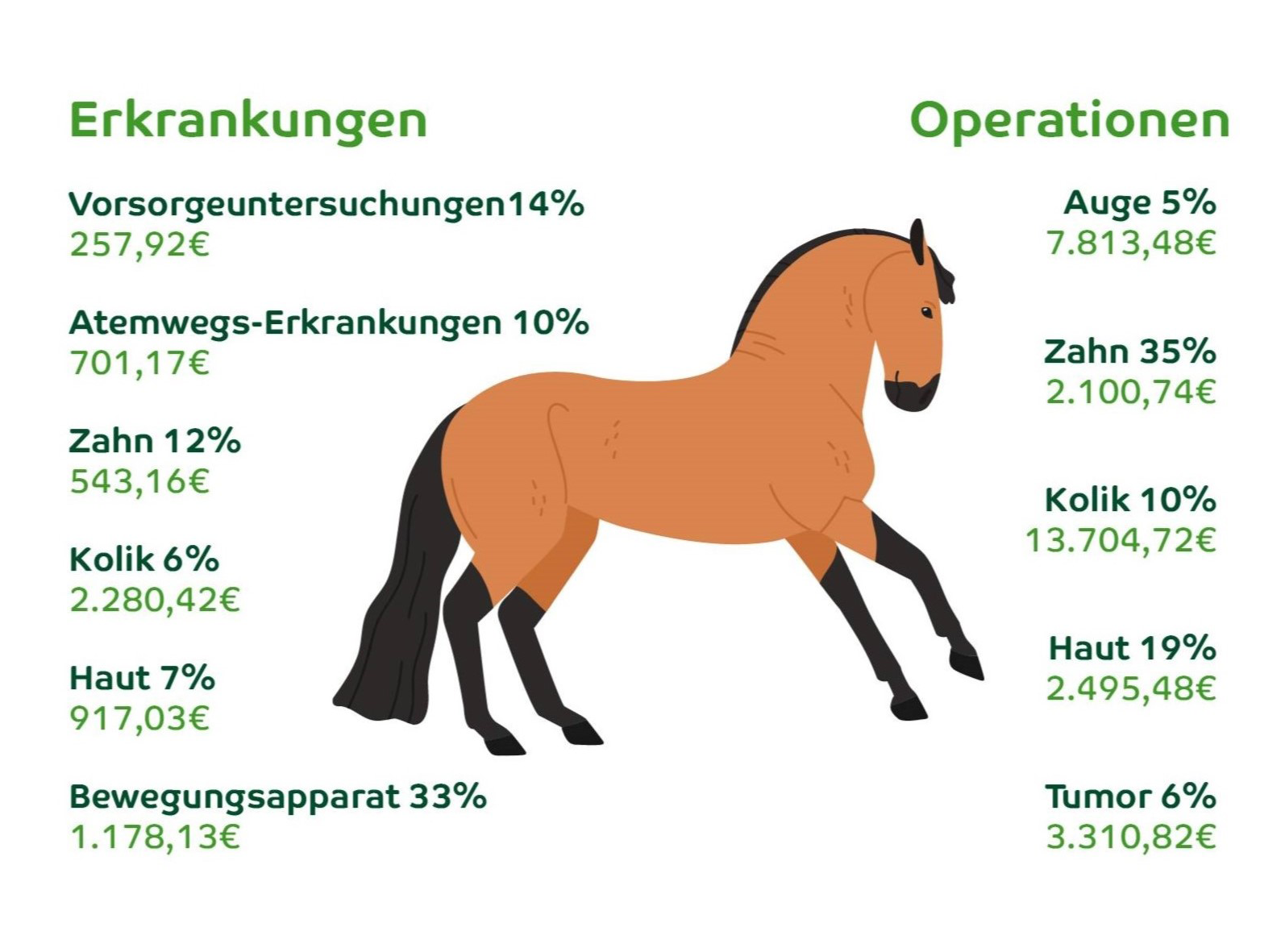 Von Zahn bis Huf: Diese Erkrankungen treten bei Pferden besonders häufig auf