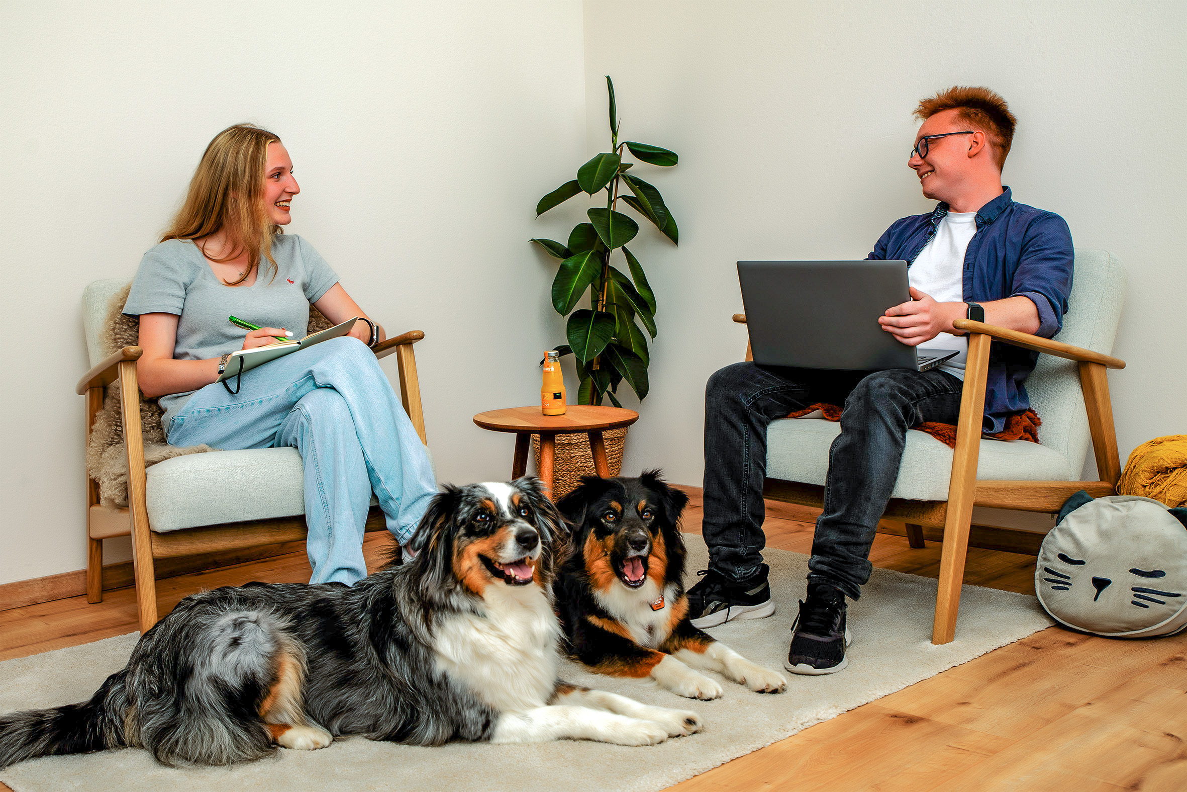 Haustier-Studie 2026: Bürohunde sind perfekte Feel-Good-Manager